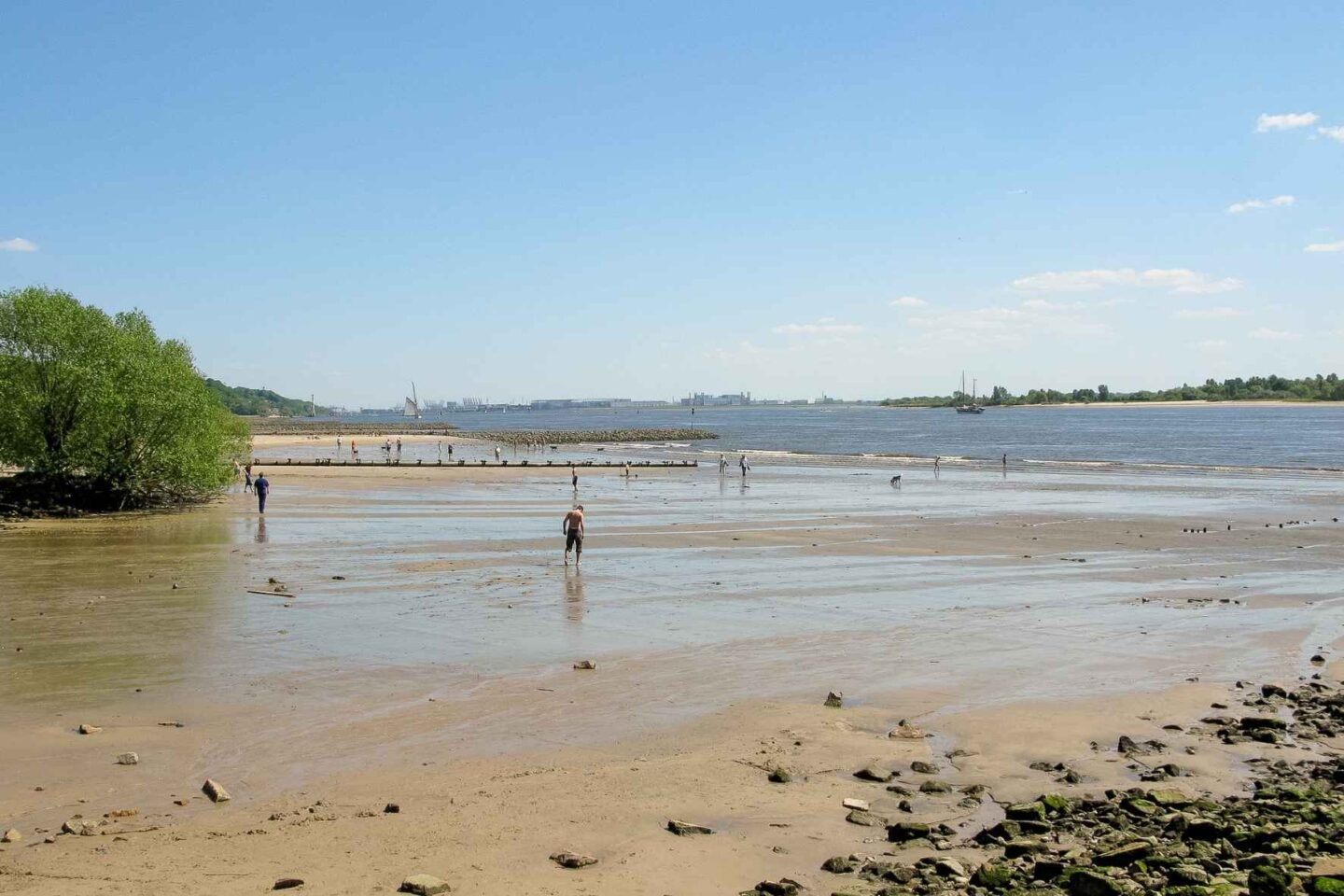Weitläufiger Elbstrand in der Nähe der Freiluftschule Wittenbergen bei blauem Himmel.