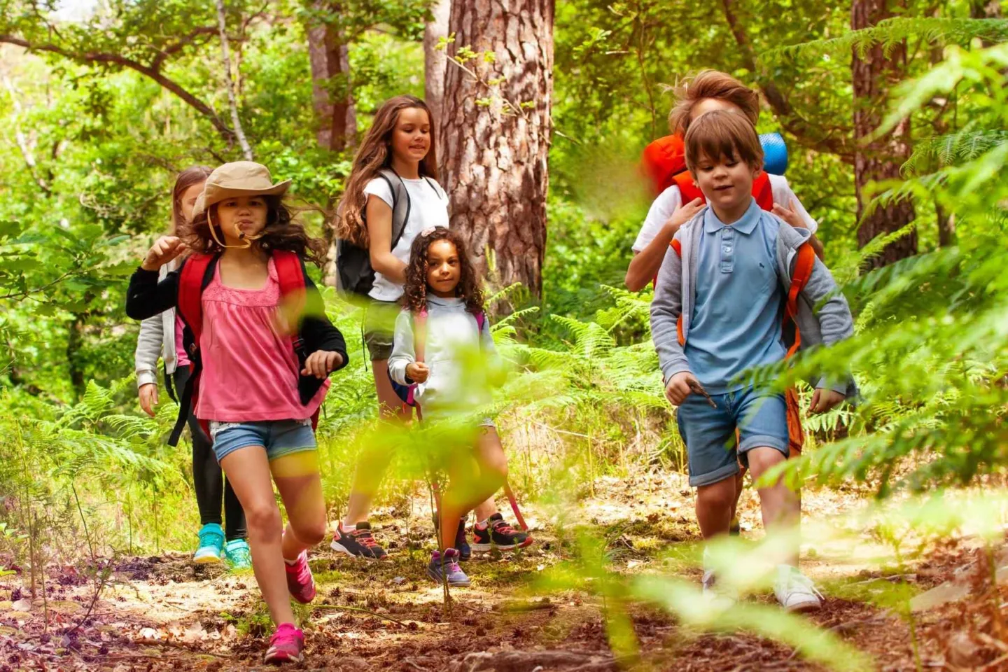 Gruppe von Kindern die freudig durch den Wald rennen.
