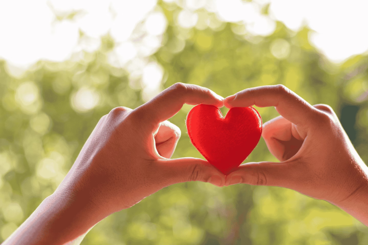 Aufnahme von zwei Händen, die ein rotes Herz in der Hand halten. Im Hintergrund sind verschwommen grüne Bäume zu sehen.