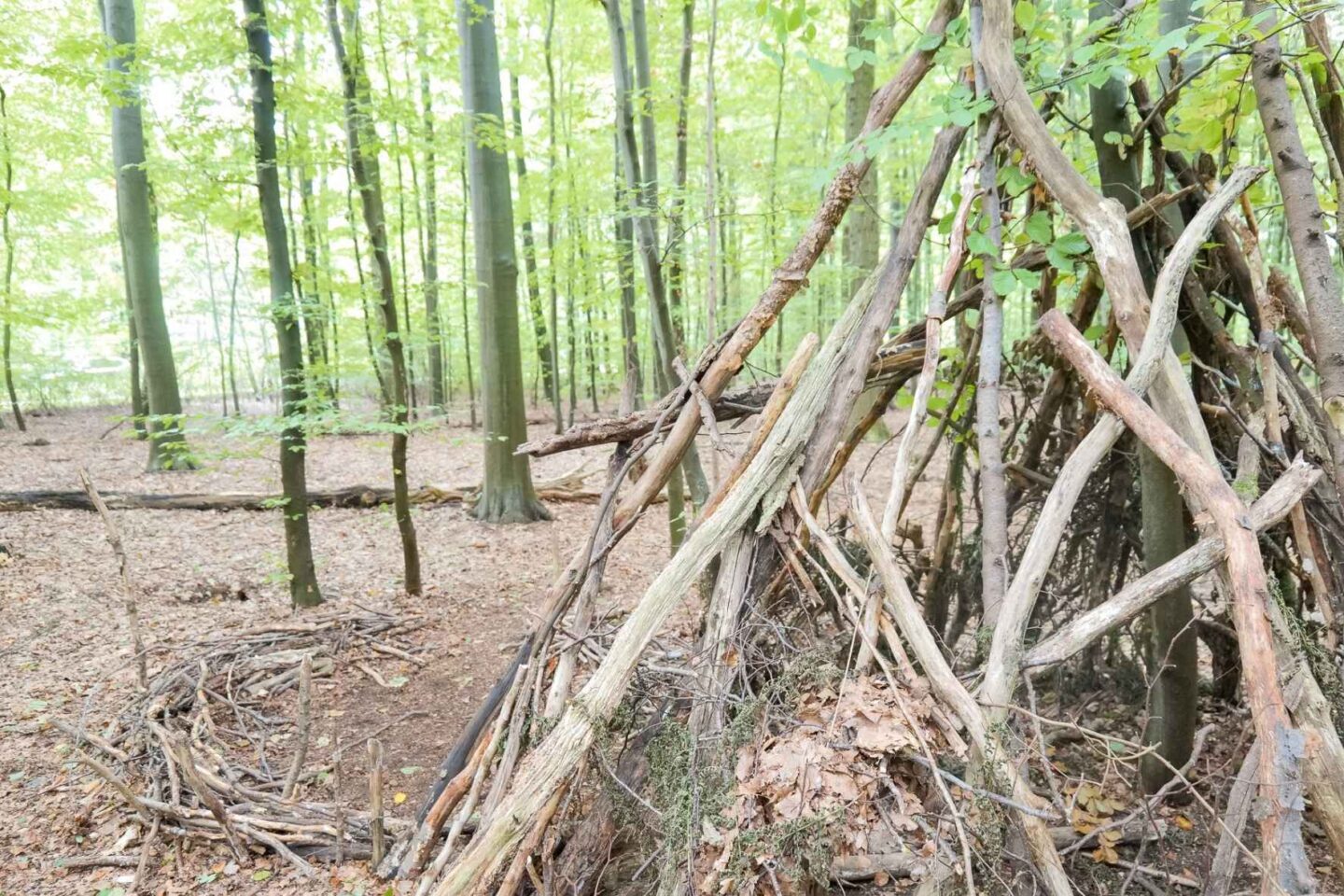 Waldlandschaft mit selbstgebauten Konstruktionen aus Zweigen, ideal für Kreativität und Gruppenspiele.