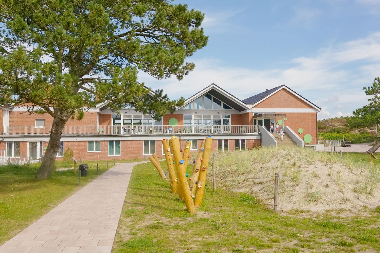 Grünes Außengelände in unserer Strandperle: Große Grünfläche zum spielen sowie ein Klettergerüst auf Holz. Im Hintergrund ist das Mensa-Gebäude unserer Strandperle abgebildet.