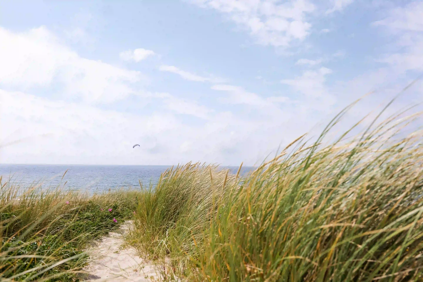 Strandzugang zum Meer auf Sylt